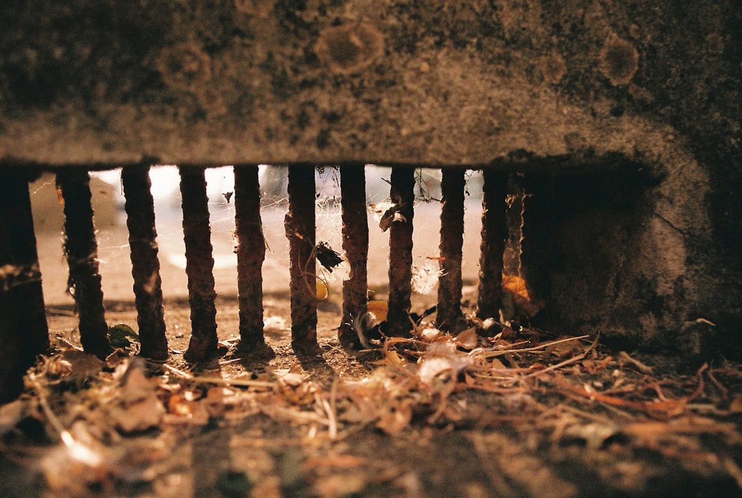 brown-wooden-fence-on-brown-soil-wkex1mef-iq